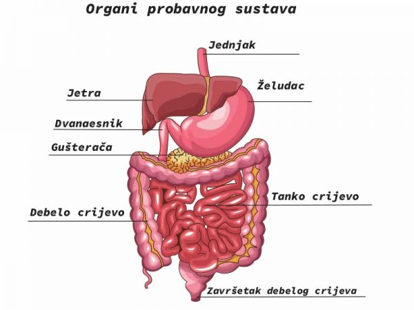 sustava
